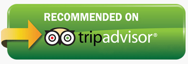 tripadvisor