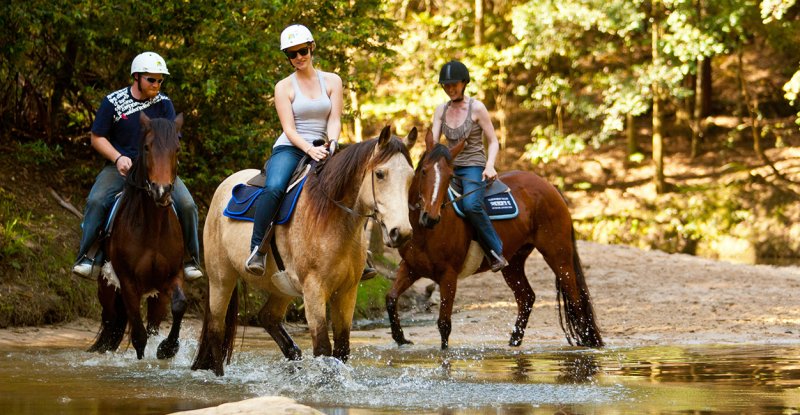 APHRODITE`S RIDING CLUB